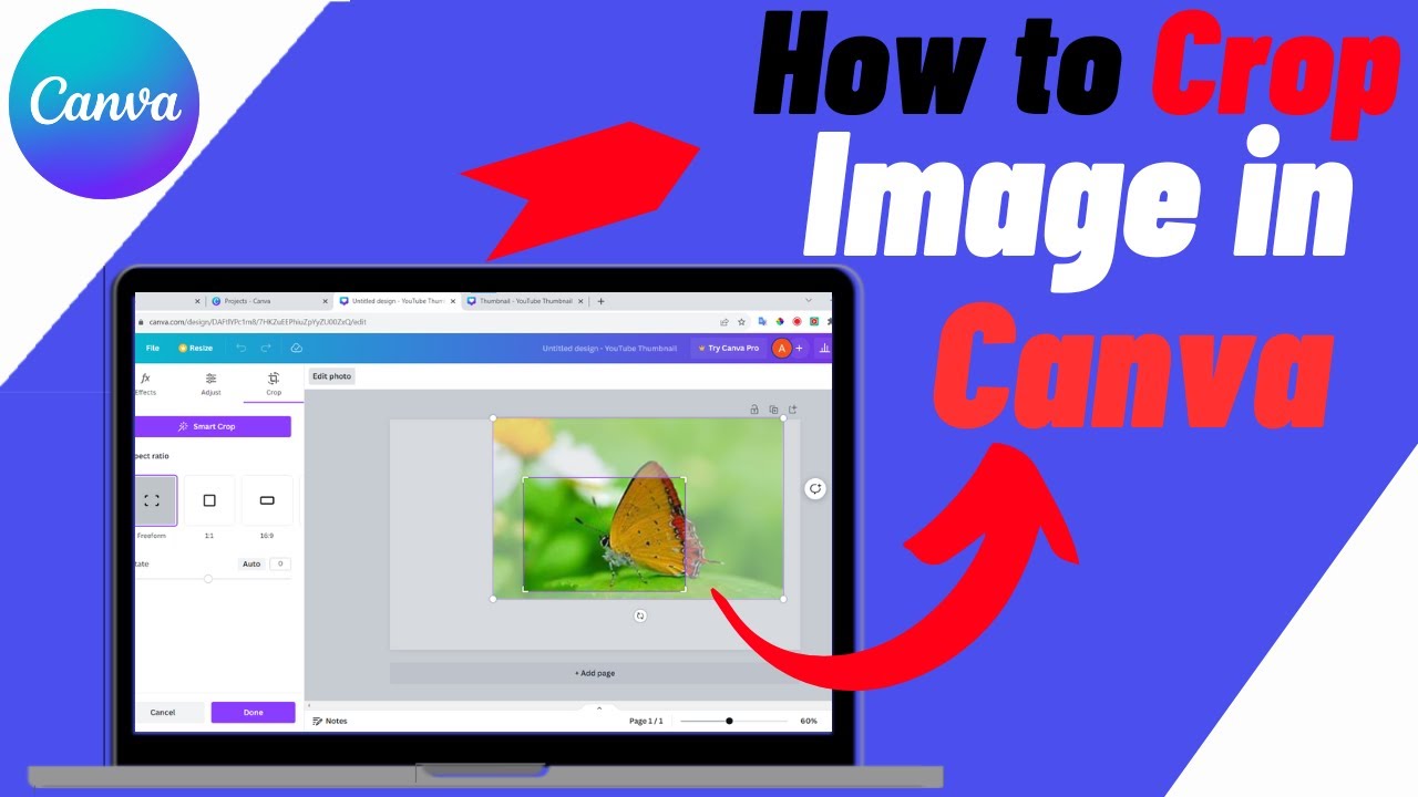 How to Crop Image in Canva - Quick & Easy - YouTube
