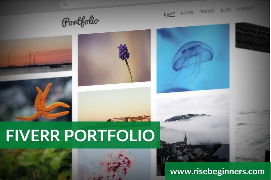What Is Fiverr Portfolio What Are Their Types