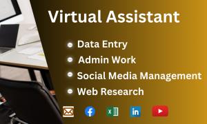 I will be your virtual assistant for your business