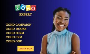 Zoho CRM, Zoho Campaign, Zoho Books, Zoho Site, Zoho Forms Gig