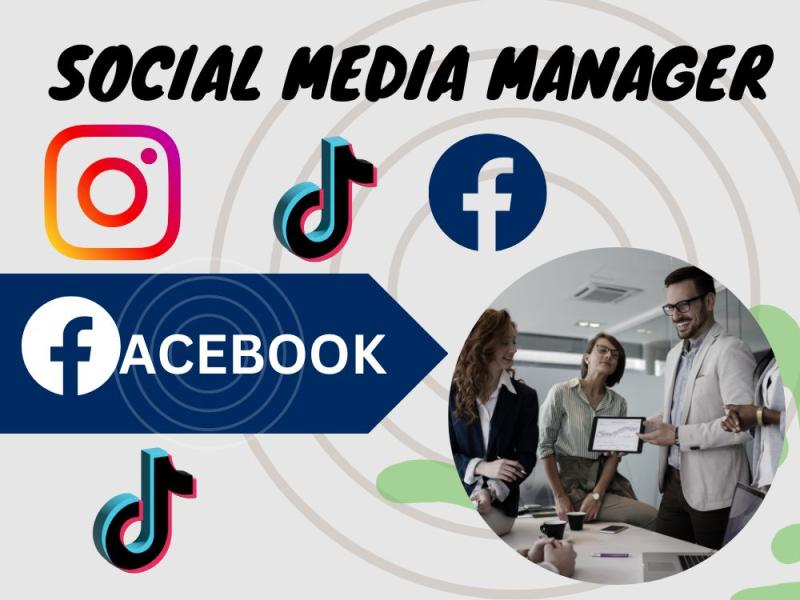 I will Setup TikTok Social Media Virtual Assistant Manager