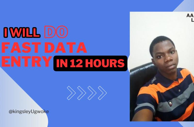 do fast data entry within few hours