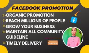 I will promote your product globally by Facebook promotion