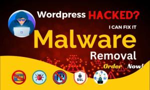 I will provide professional services for malware removal, ensure WordPress security, and clean malware from your WordPress site
