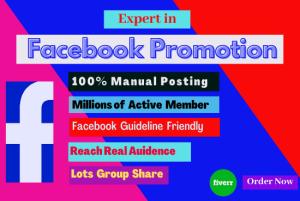 I will do organic Facebook promotion and marketing targeting specific people