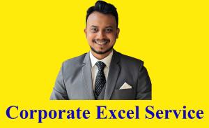 I will provide corporate excel service