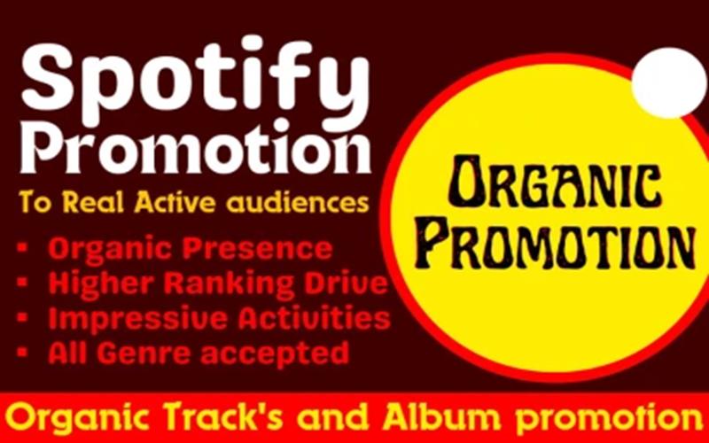 Organic Spotify Music Promotion, Spotify Album Promotion