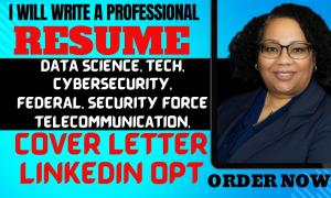 I will build a standout resume federal, data science, data analyst, security force navy