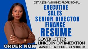 I will professionally write an executive resume, senior director, sales, finance resume