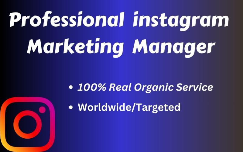 I will be your professional Instagram marketing manager