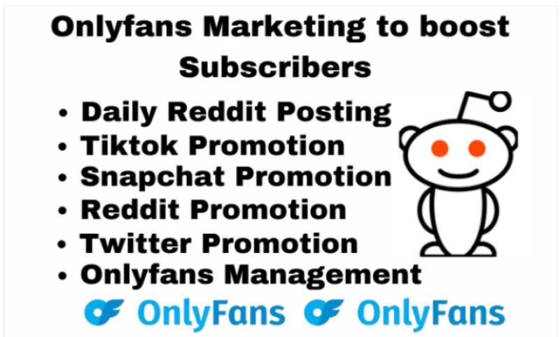 I will provide OnlyFans page management, adult web link marketing, Reddit promotion, and increase subscribers