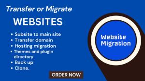 I will do website migration, transfer WordPress, Wix, clone website, and backup