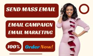 I will do bulk email blast, send bulk email, bulk email campaign for your business