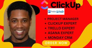 I will be your project management consultant for trello, asana, and clickup