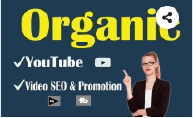 I will do the best YouTube video SEO and promotion