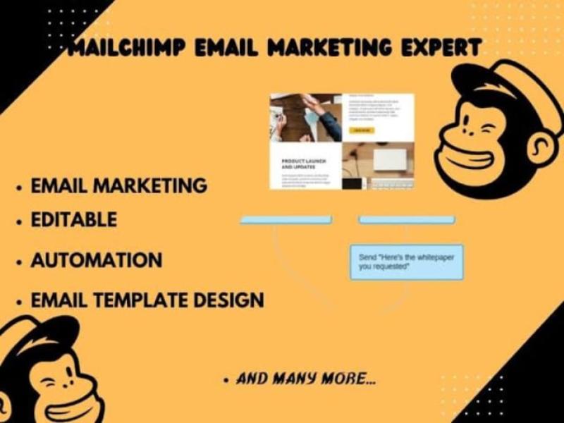 I will design and set up your email marketing campaign