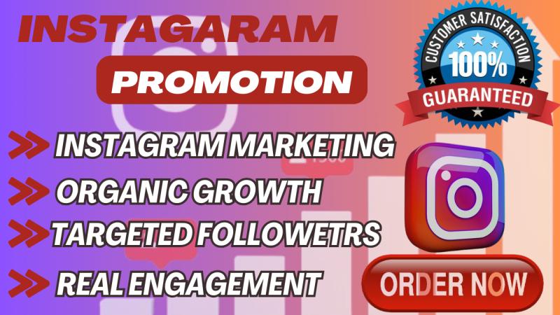 I will do instagram marketing, promotion for organic instagram growth