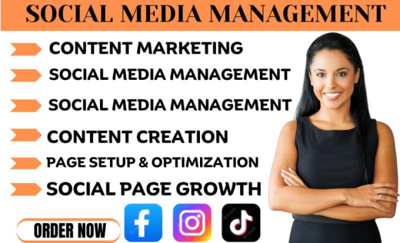 I Will Content Marketing Facebook Marketing Instagram Marketing TikTok Marketing