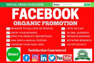 I will do organic Facebook promotion and advertising to gain USA, UK traffic