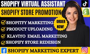 I will be your pro Shopify virtual assistant for your Shopify dropshipping store