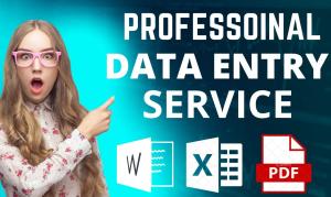 data entry