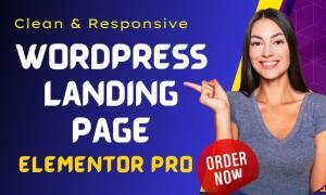 I will build WordPress website and WordPress landing page using WordPress Elementor Pro