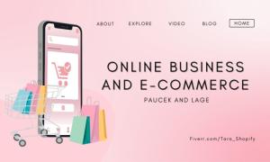 I will create wordpress website development, build ecommerce website
