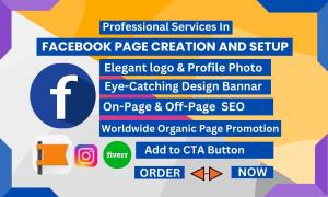 I will do professional Facebook page creation and setup