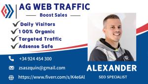 I WILL BOOST YOUR WEBSITE WITH TARGETED USA VISITORS