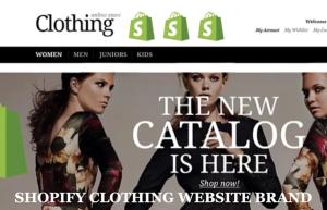 I will make shopify website clothing brand, shopify clothing store