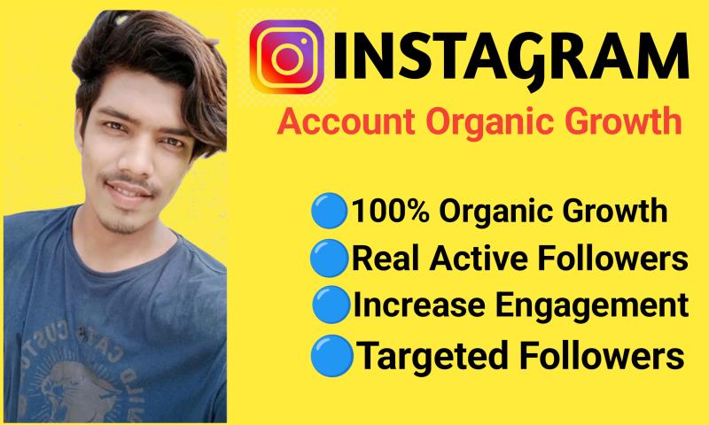 I will organic increase your instagram account for organically growth