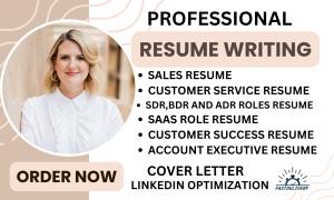 I will write professional resume to land sales, saas, sdr, bdr, customer service roles