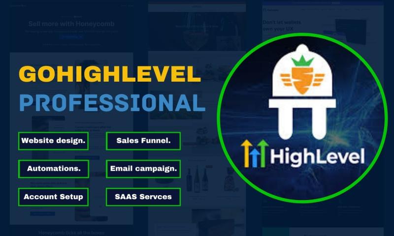 I will build and develop a professional and modern sales funnel website on GoHighLevel