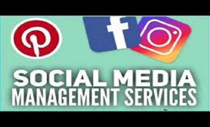 I will be your social media manager tiktok promoter, run ig, fb, google, pinterest ads