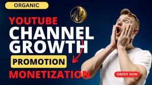 I will do organic youtube music video monetization or promotion to boost channel growth