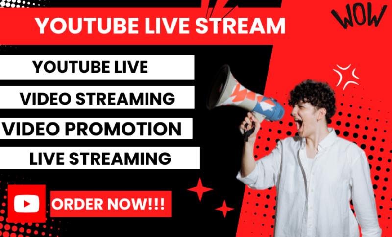 I will promote your YouTube live stream video to your target audience