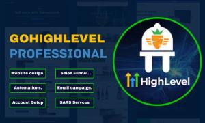 I will build and develop professional and modern sales funnel, website on gohighlevel