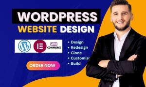 I will build design redesign clone customize wordpress blog website,figma to elementor