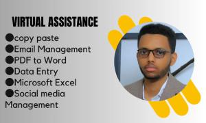 I will be your virtual assistant for data entry, typing, copy paste