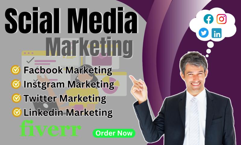 I will be your social media manager and Facebook ads campaign