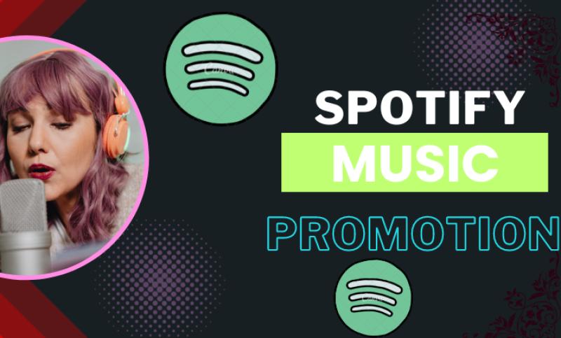 I Will Do Organic Spotify Promotion to Get Your Music on Most Featured Songs and Album