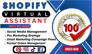 I will be shopify virtual assistant, shopify store marketing manager, boost Etsy sales