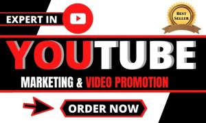 I will do Organic YouTube Promotion to Gain Subscribers, Views, and Likes