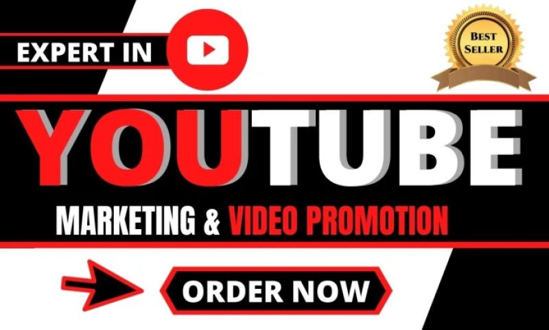 I will do Organic YouTube Promotion to Gain Subscribers, Views, and Likes