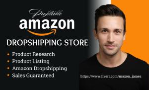 I will do 7 figure amazon dropshipping, amazon dropshipping store, amazon VA