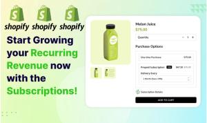 I will design Shopify Subscription Box Webshop Auction Store, WooCommerce eCommerce