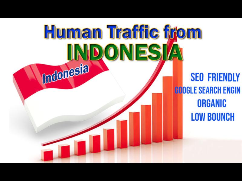 Drive Quality 15000+ Indonesia Website Traffic to Boost Your Online Presence | 10 day delivery