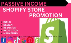 I will build a passive income shopify store,shopify dropshipping store, shopify website