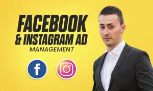 I will set up Facebook and Instagram ads for leads and sales
