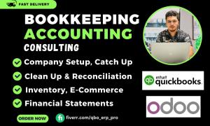 I will do accounting and bookkeeping in Quickbooks Online, Odoo, Xero, Wave, Zoho